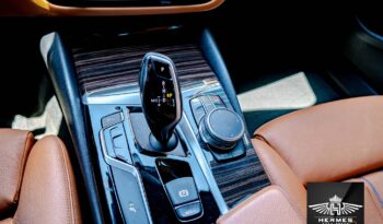 2019 BMW 5 Series 530i Sedan full