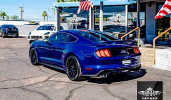 2015 Ford Mustang GT Premium Coupe full