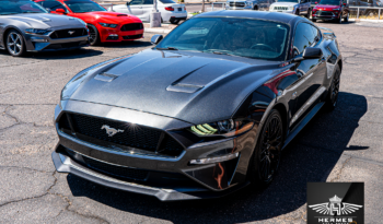 2019 Ford Mustang GT Coupe full