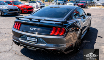 2019 Ford Mustang GT Coupe full
