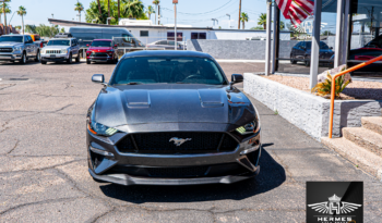 2019 Ford Mustang GT Coupe full