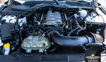 2019 Ford Mustang GT Coyote Premium Coupe full