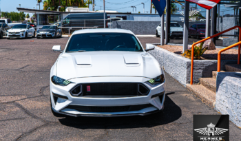 2019 Ford Mustang GT Coyote Premium Coupe full
