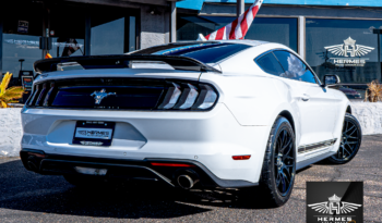 2020 Ford Mustang EcoBoost Premium Coupe FIFTY FIVE YEARS Edition full