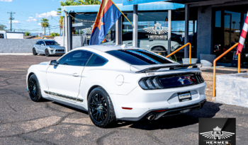 2020 Ford Mustang EcoBoost Premium Coupe FIFTY FIVE YEARS Edition full